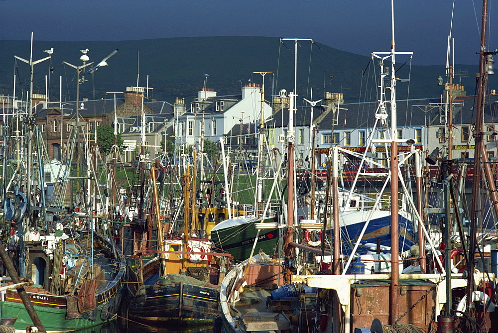 Crowded harbour at Girvan, Strathclyde, Scotland, United Kingdom, Europe