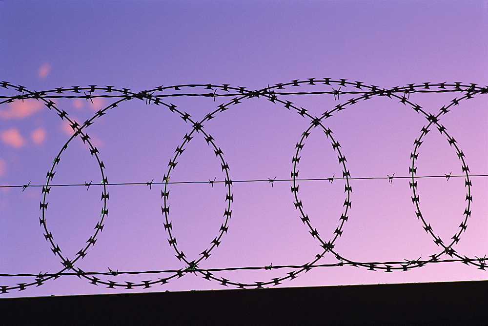 Razor wire in the evening light