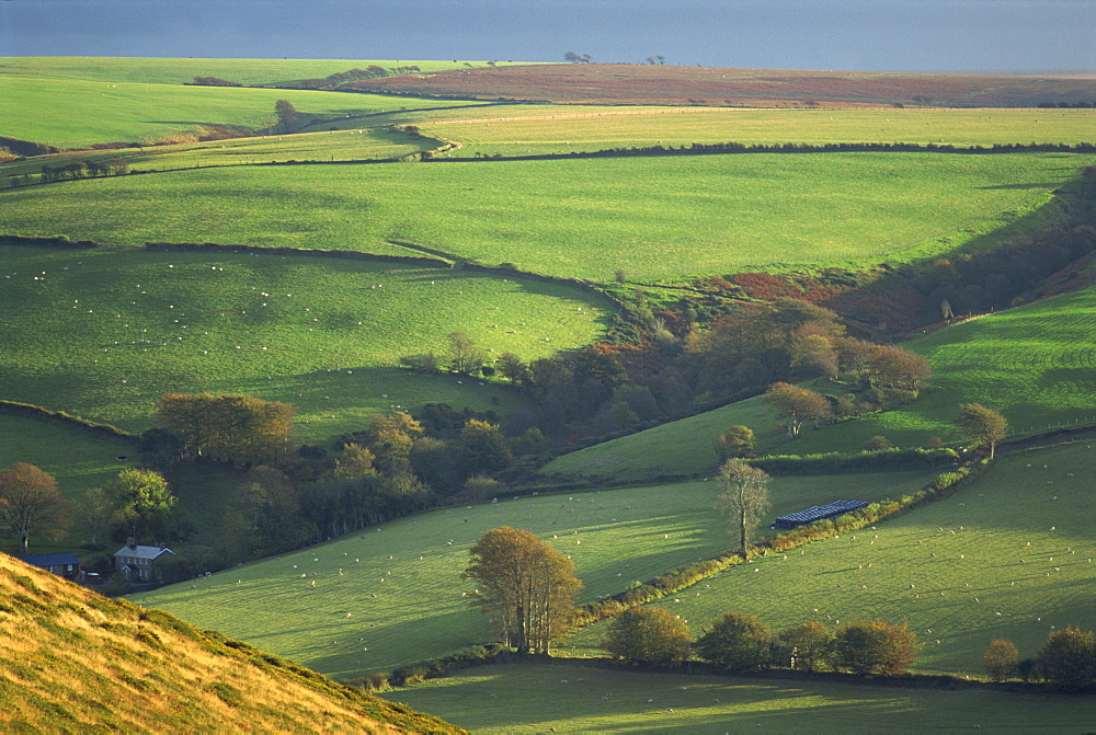 Rural landscape near Oare, Exmoor, Somerset, England, United Kingdom, Europe