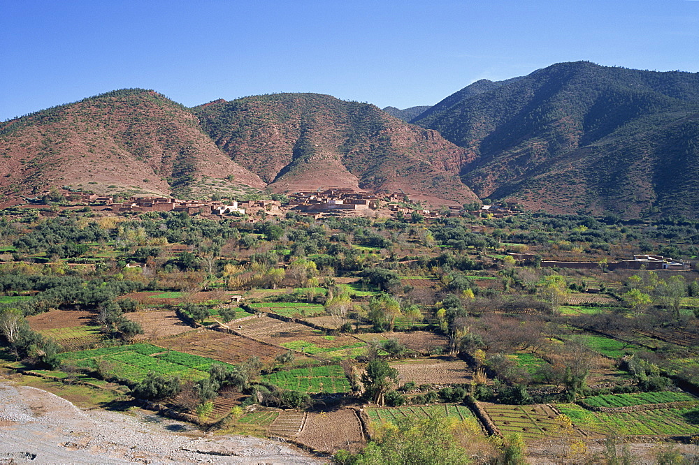 Ourika Valley, Morocco, North Africa, Africa