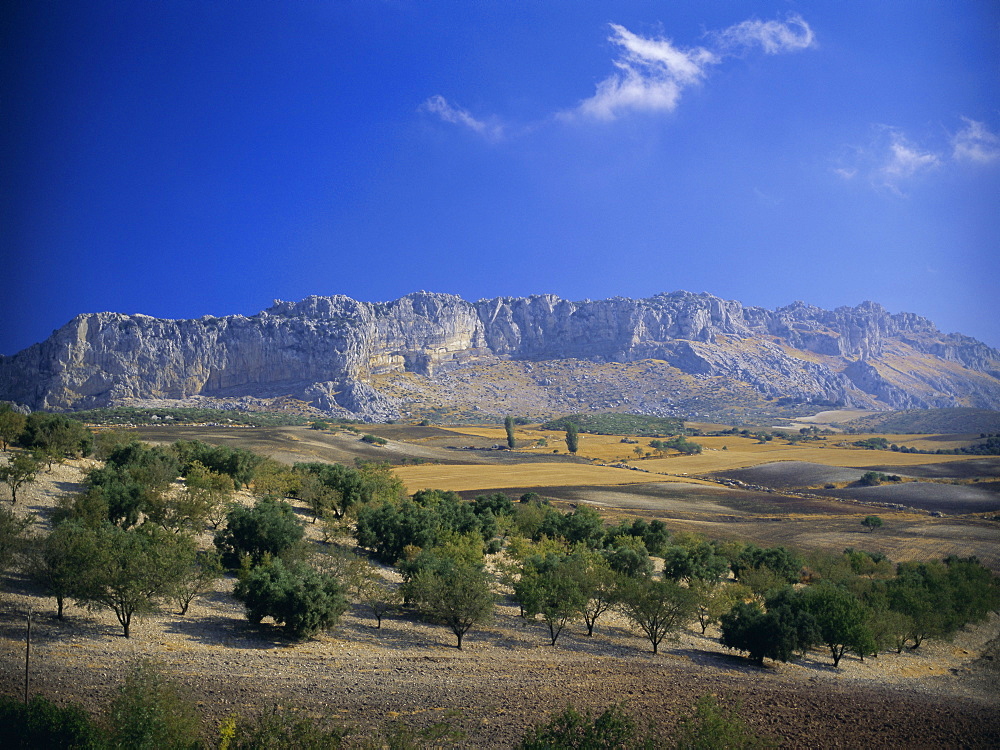 Torcal de Antequera Natural Park (El Torcal National Park), Andalucia (Andalusia), Spain, Europe