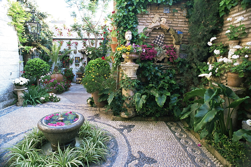 Patio in private house during annual patio competition, Cordoba, Andalucia, Spain, Europe