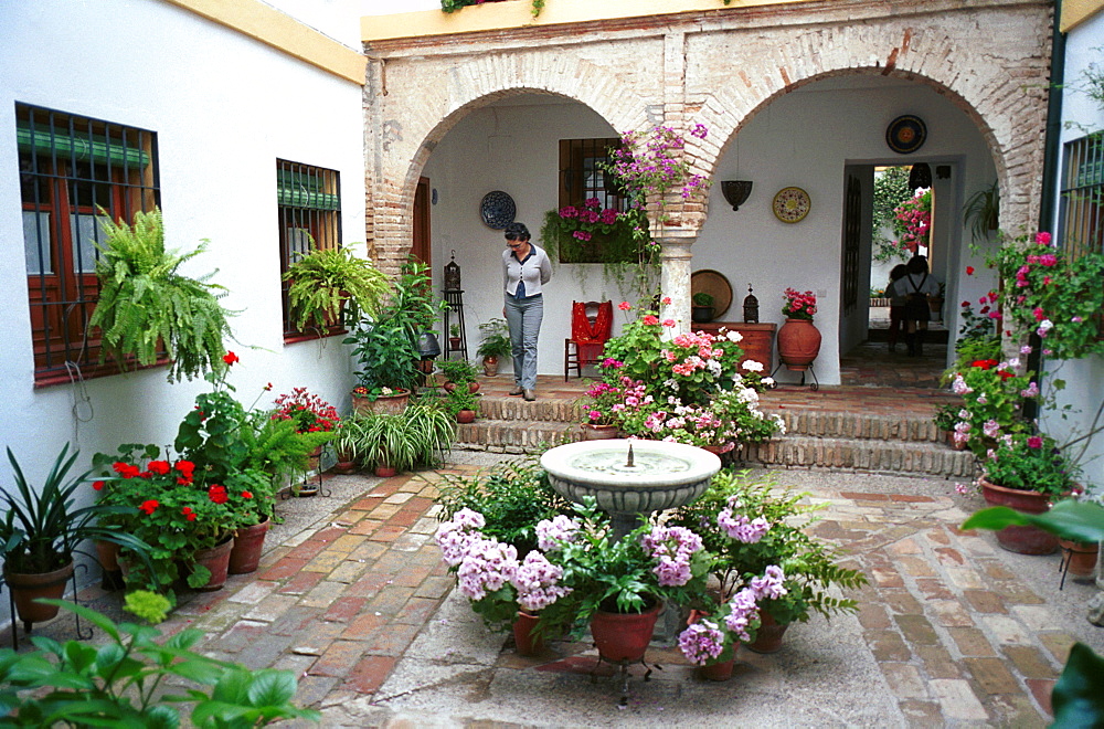 Cordoba - Spain - May Festivals - A patio open to the public during the annual competition for best patios