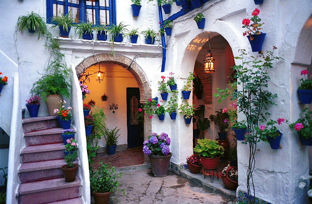 Cordoba - Spain - May Festivals - A patio open to the public during the annual competition for best patios