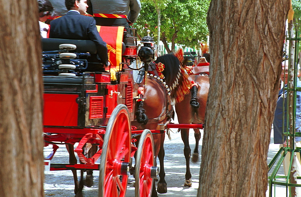 Seville - Spain - The Feria de Abril - Seville Fair - The daily parade of carriages