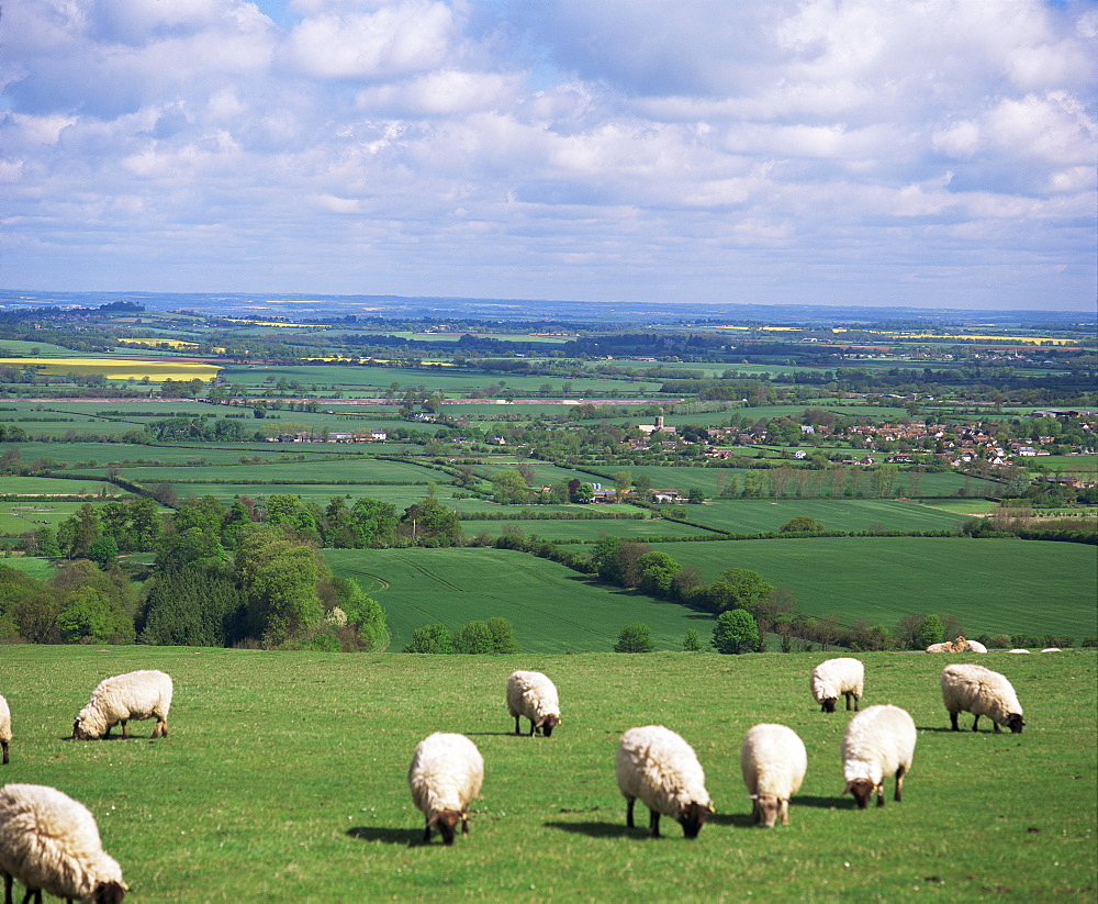 Uffington and the Vale of the White Horse, south Oxfordshire, England, United Kingdom, Europe