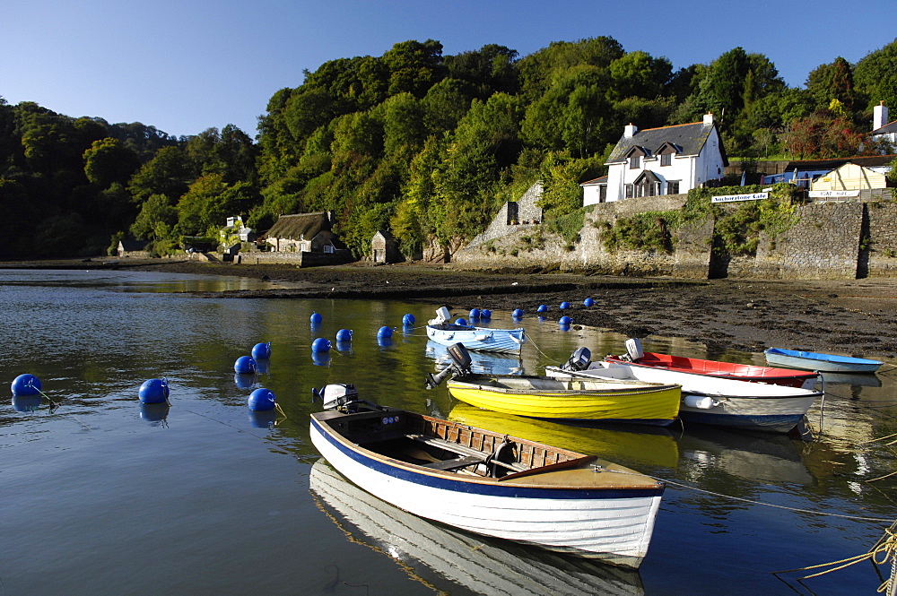 The Dart estuary at Dittisham, South Devon, England, United Kingdom, Europe