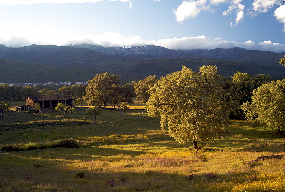 View to Sierra de Gredos, La Vera, Extremadura, Spain, Europe