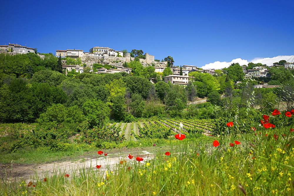 Manerbes, Petit Luberon, Provence, France, Europe