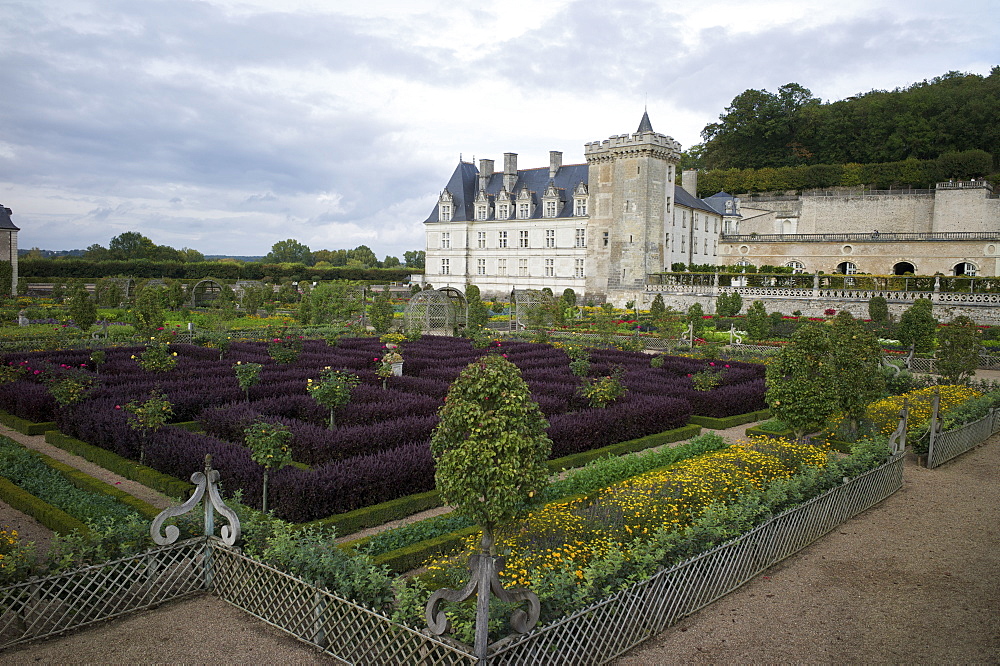 Gardens, Chateau de Villandry, UNESCO World Heritage Site, Indre-et-Loire, Touraine, Loire Valley, France, Europe