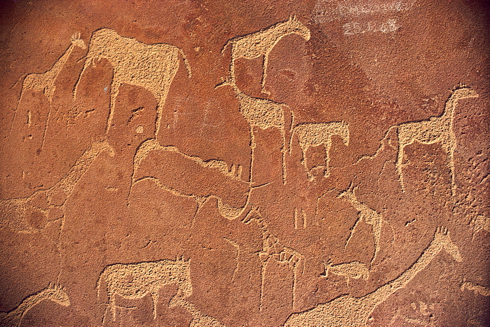 Rock engravings, Twyfelfontein, Namibia, Africa