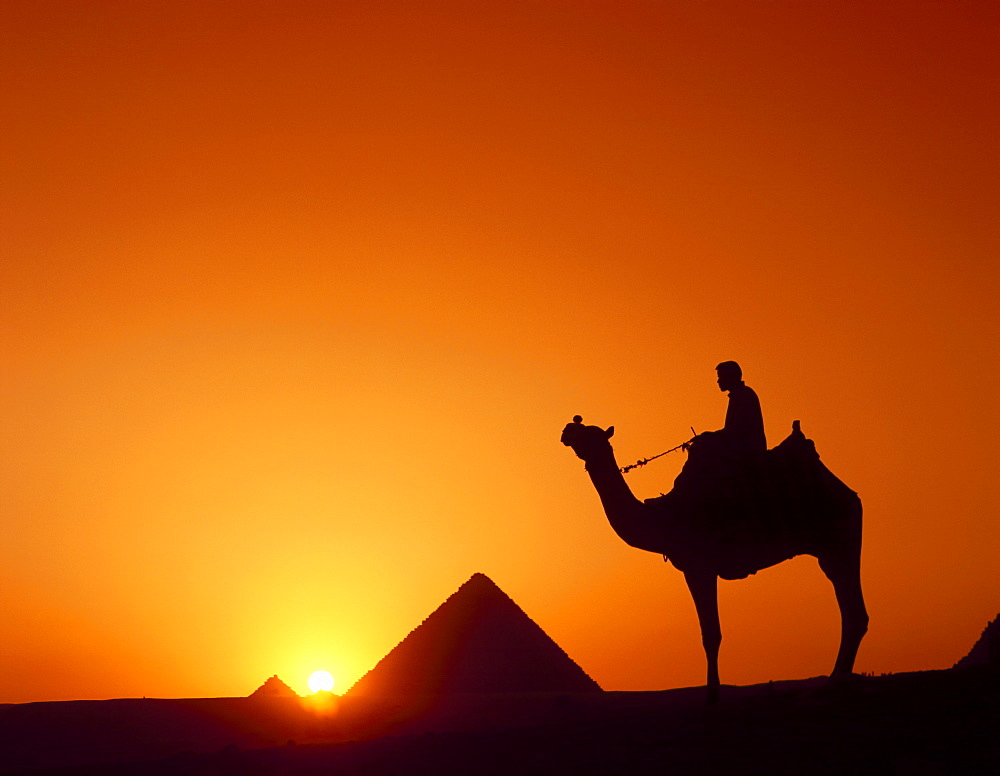 Silhouette of figure on camelback at pyramid, Giza, Cairo, Egypt 