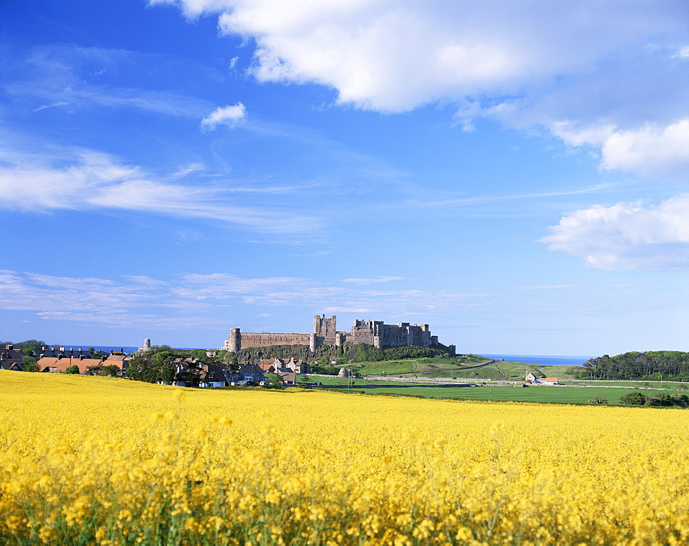 Bamburgh Catle, Northumberland, England, United Kingdom, Europe