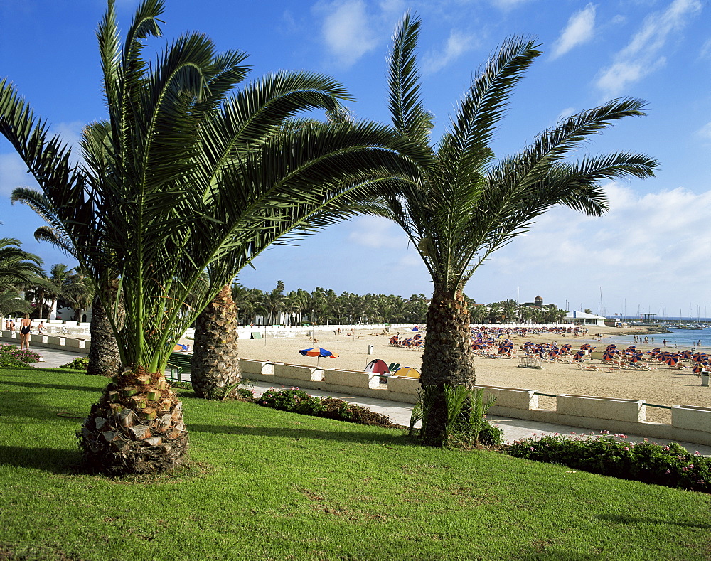 Promenade and beach at Cala de Fuste, Fuerteventura, Canary Islands, Spain, Atlantic, Europe