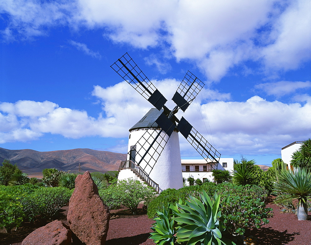 Traditional windmill near Antigua, Fuerteventura, Canary Islands, Spain, Europe