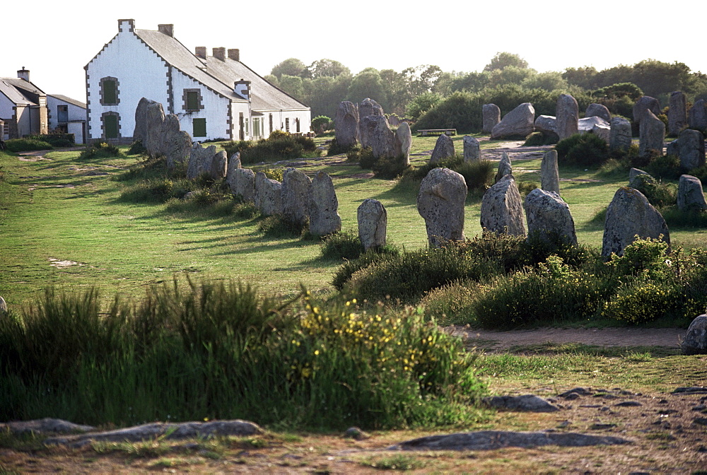 Lines of Menec, Carnac, Brittany, France, Europe