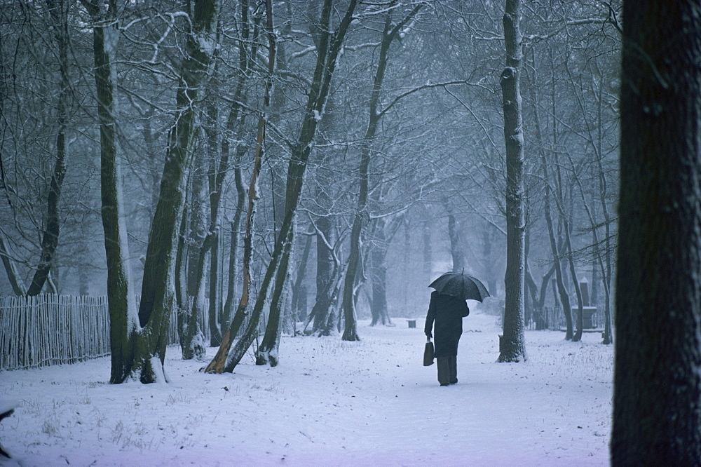 Man with umbrella and briefcase walks under bare trees in winter, with snow falling, in London, England, United Kingdom, Europe