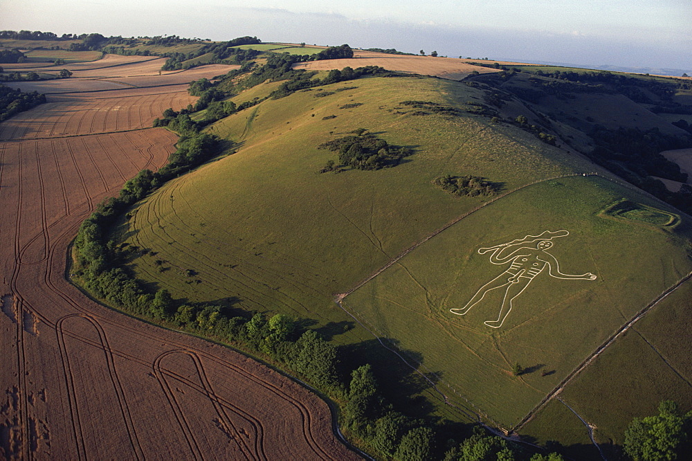 Aerial view of Cerne Abbas giant, Dorset, England, United Kingdom, Europe