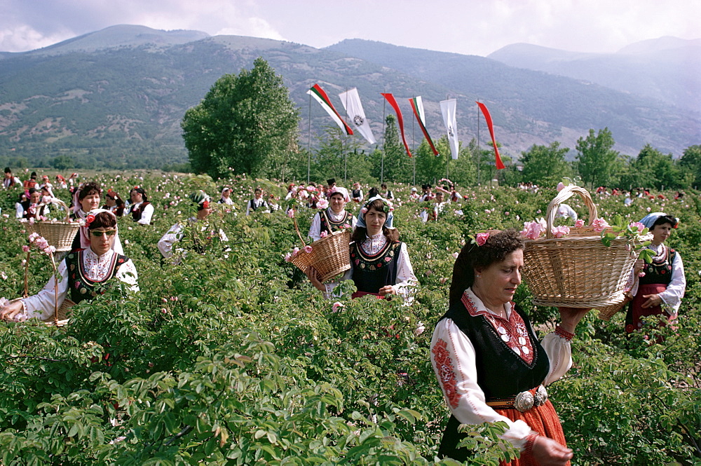 Rose Festival, Bulgaria, Europe