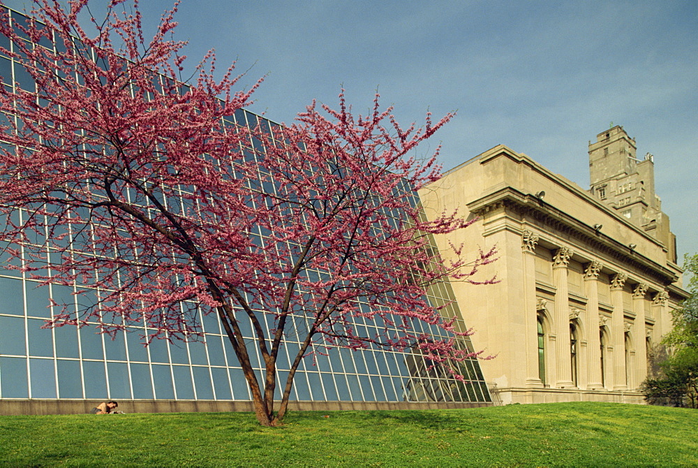 Architectural contrast at the Metropolitan Museum, Manhattan, New York City, United States of America, North America