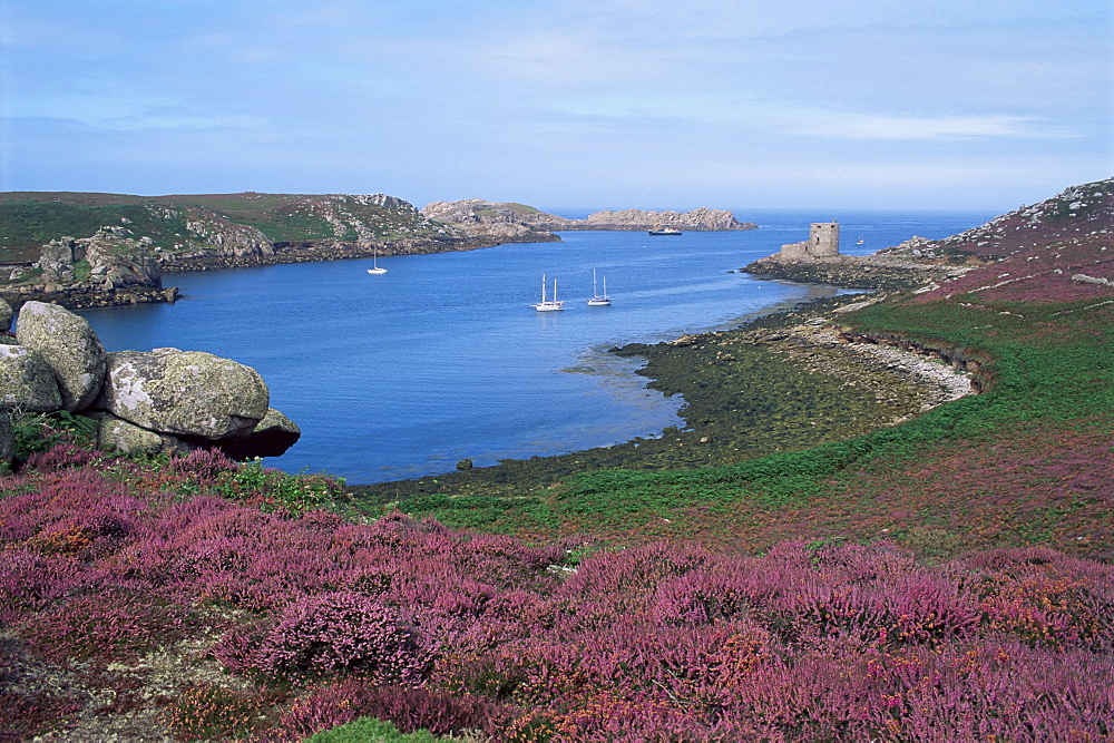 Cromwell's Castle, Tresco, Isles of Scilly, United Kingdom, Europe