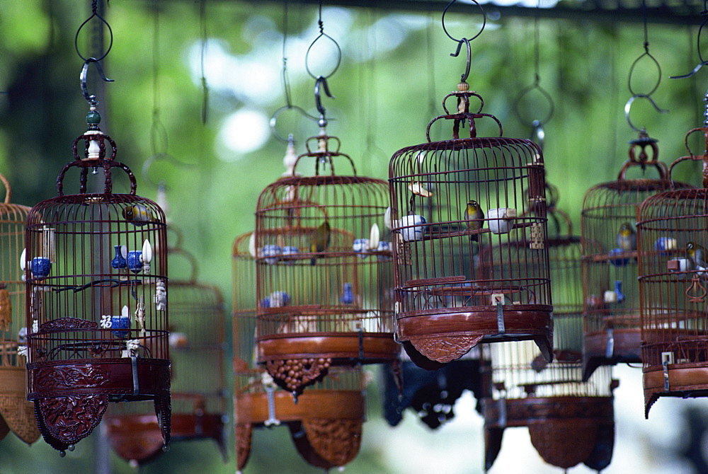 Caged birds for sale, Chinatown, Singapore, Southeast Asia, Asia