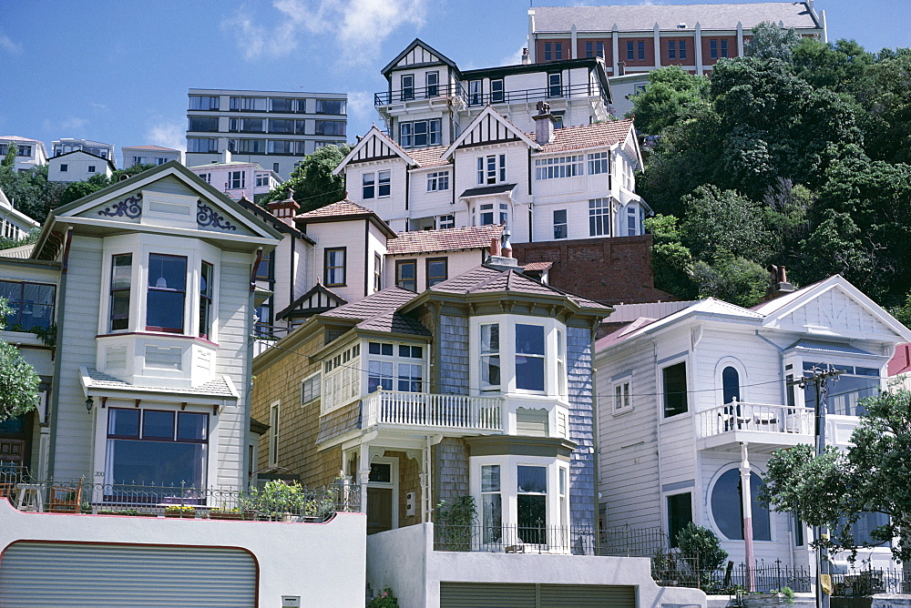 Houses, Wellington, North Island, New Zealand, Pacific