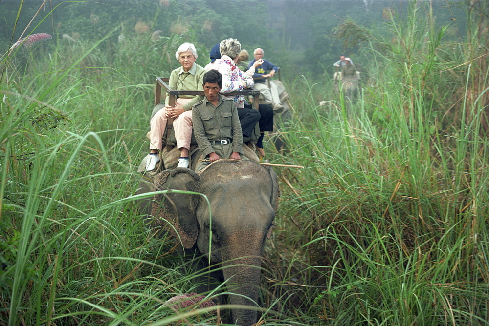 Tourists on elephant back in long grass, viewing game in the Chitwan National Park, Nepal, Asia