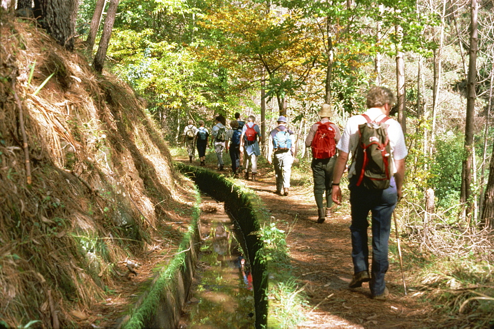 Tourists walking between Ribeira Brava and Estreito do Canava do Lobos, Madeira, Portugal, Europe