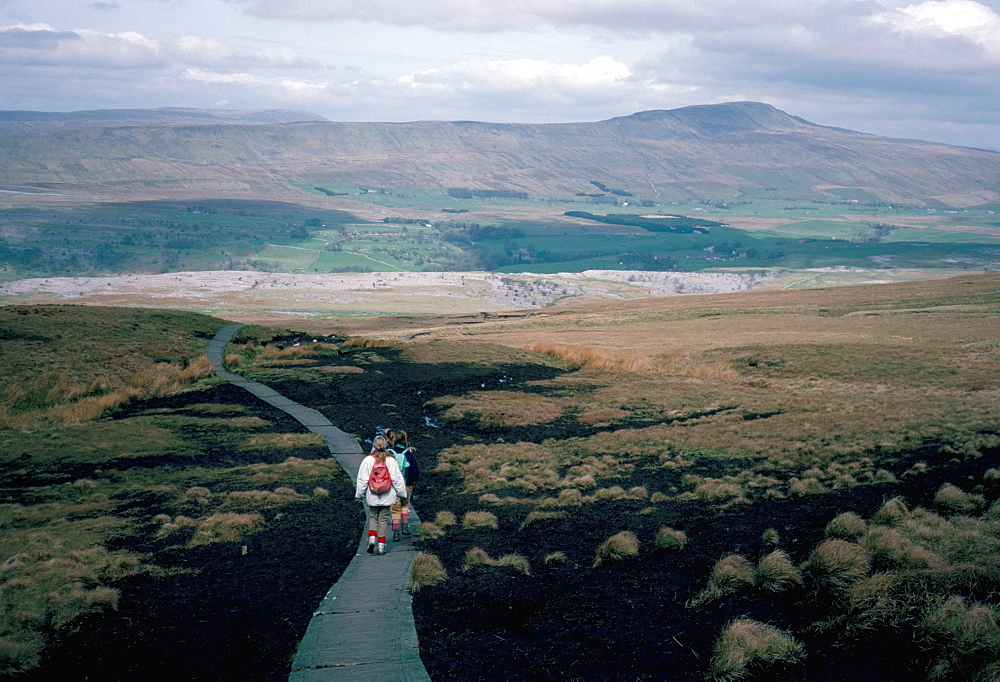 Land boardwalk laid to prevent path erosion, Yorkshire Dales, England, United Kingdom, Europe