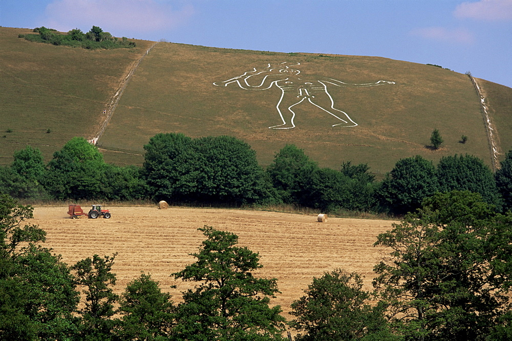 Cerne Abbas Giant, Cerne Abbas, Dorset, England, United Kingdom, Europe