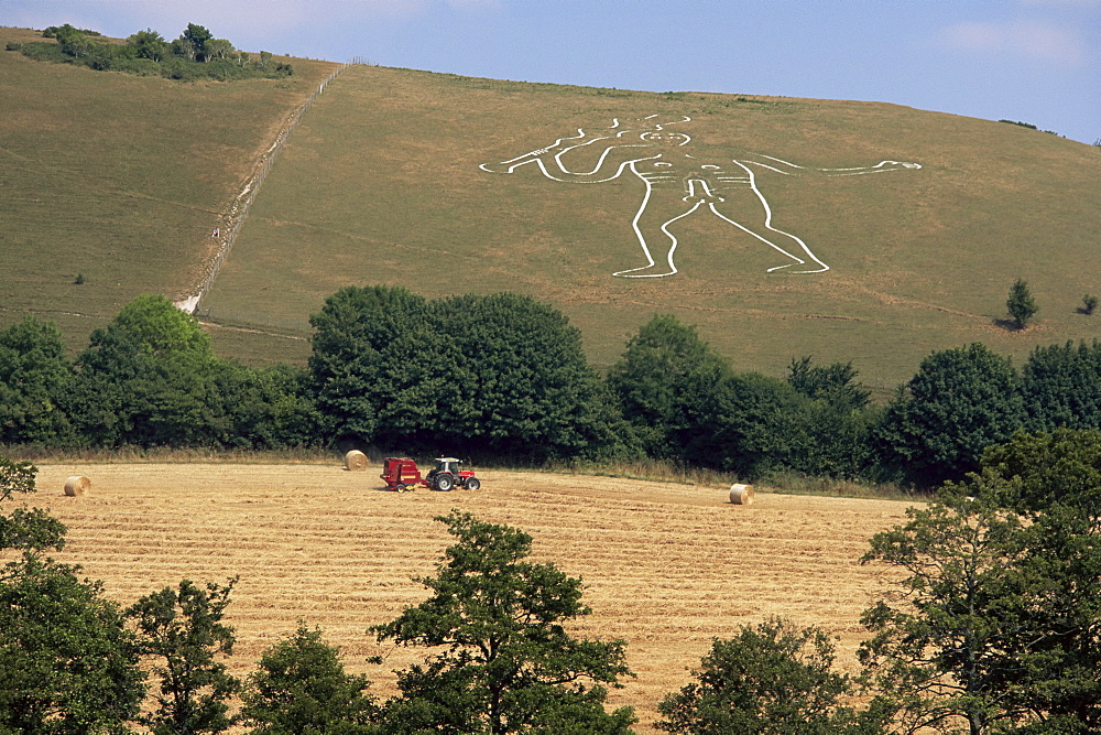 Cerne Abbas Giant, Cerne Abbas, Dorset, England, United Kingdom, Europe