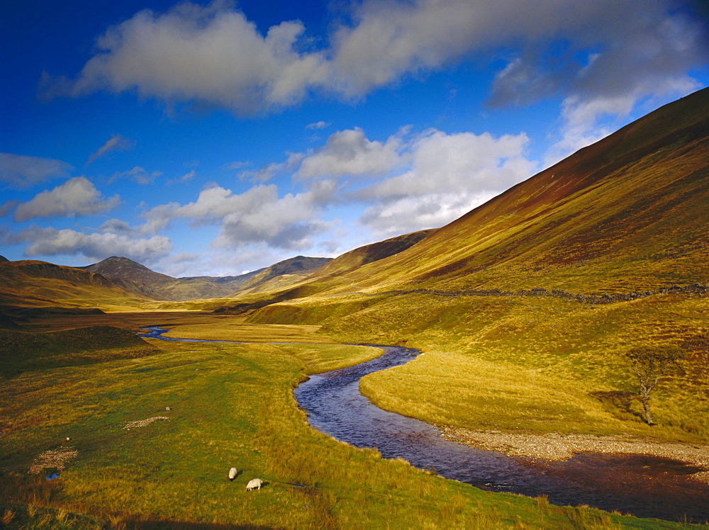 Glen Shee, Tayside, Scotland, UK, Europe