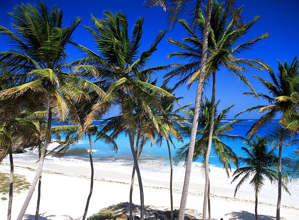 Bottom Bay, Barbados, West Indies, Caribbean, Central America