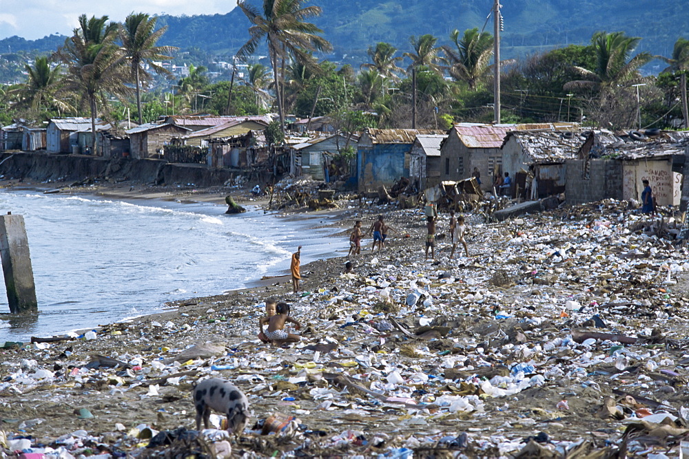 Children and pigs foraging on a rubbish strewn beach, Dominican Republic, West Indies, Caribbean, Central America