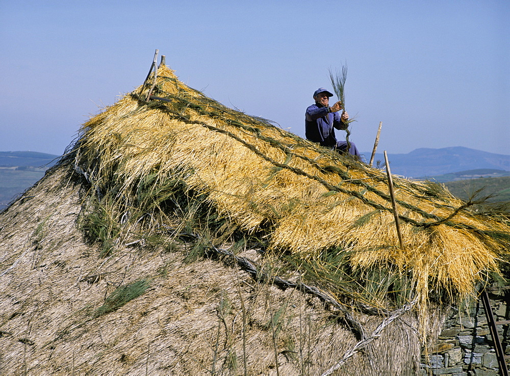 Thatching a roof, Cebreiro, Way of St. James, Galicia, Spain, Europe