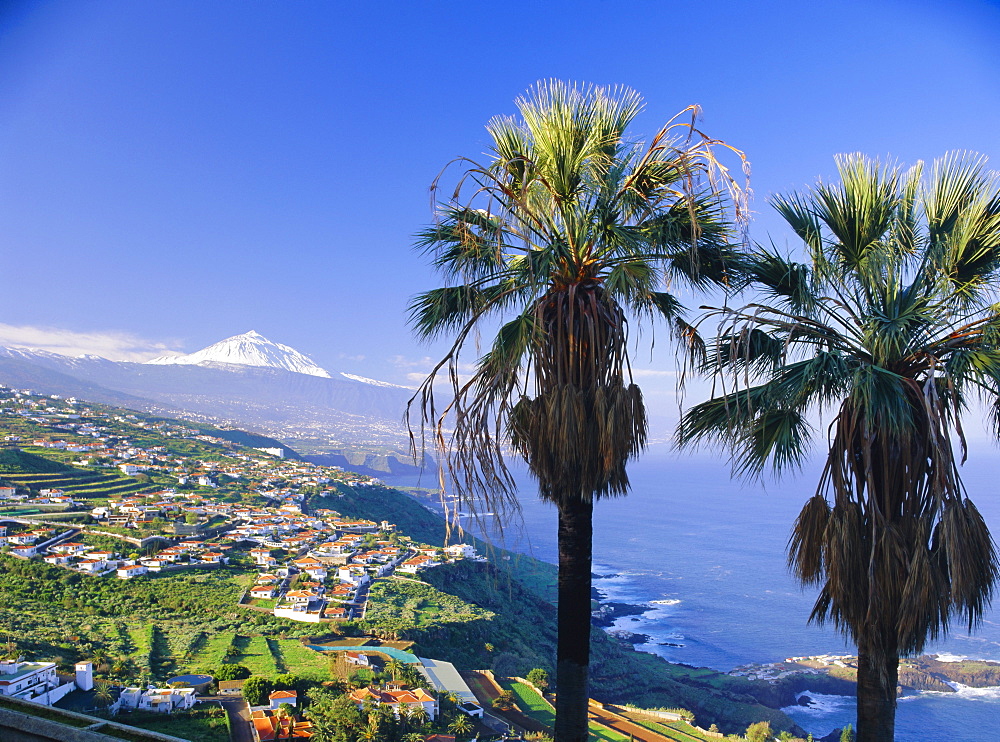 North coast and Mount Teide, Tenerife, Canary Islands, Spain