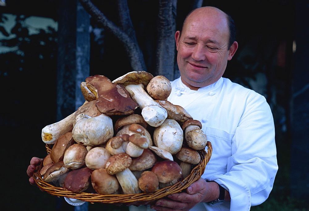 Chef with basket of mushrooms, Lugano, Ticino region, Switzerland, Europe