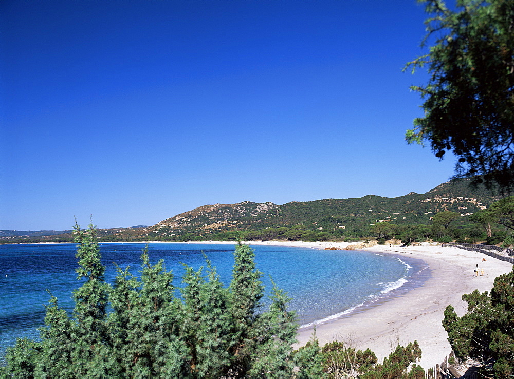 Palombaggia beach, Porto Vecchio, Corsica, France, Mediterranean, Europe