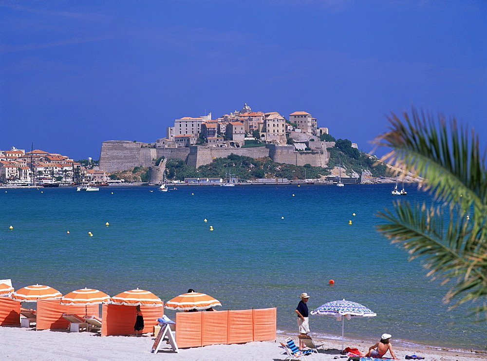 Calvi, Corsica, France, Mediterranean, Europe