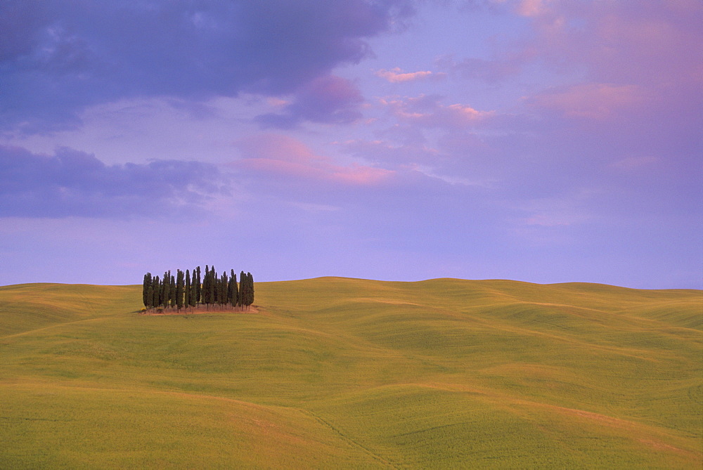 Typical landscape, Tuscany, Italy, Europe