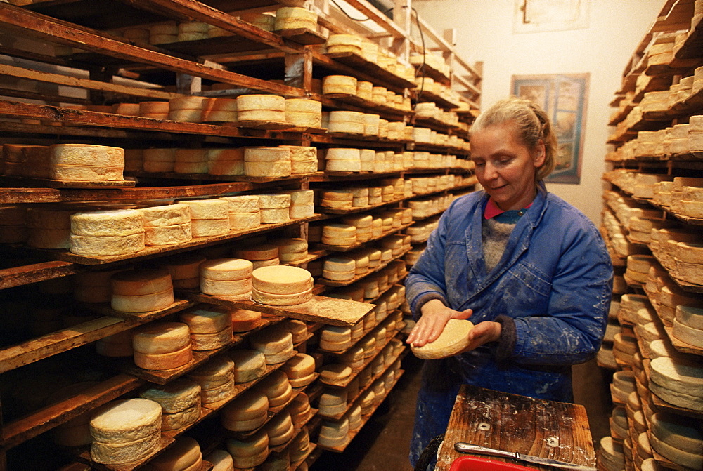 Munster cheeses, Alsace, France, Europe