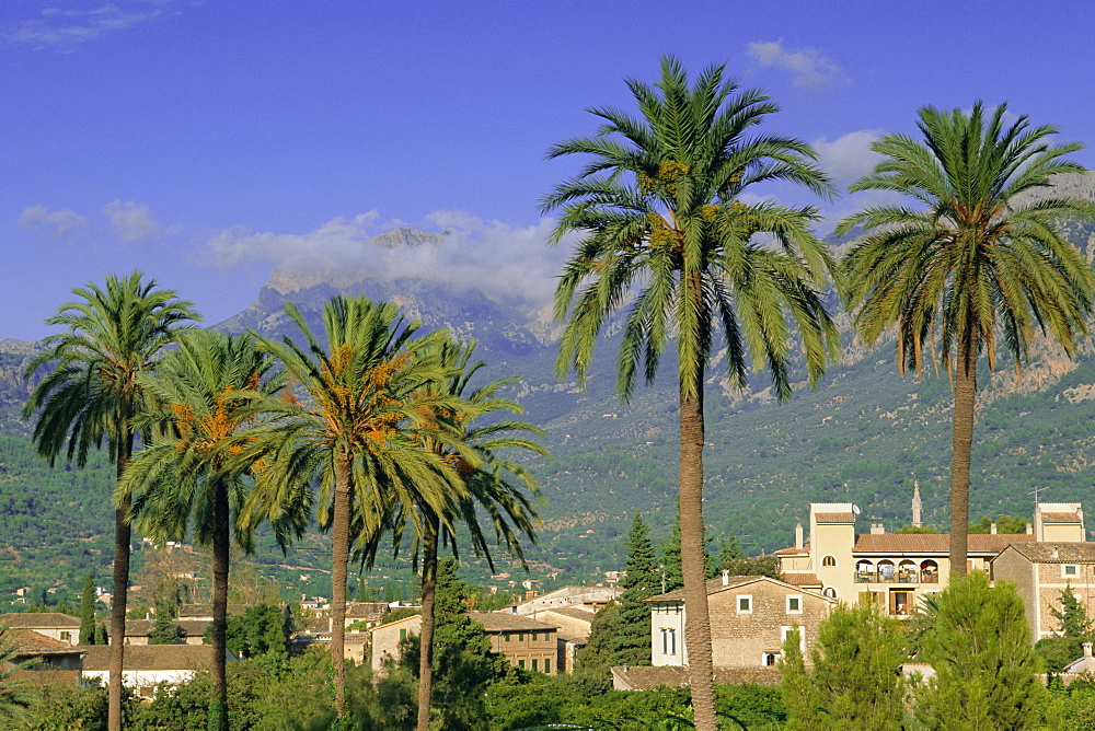 Soller, Majorca (Mallorca), Balearic Islands, Spain, Europe