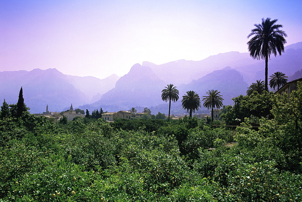 Soller, Majorca, Balearic Islands, Spain, Europe