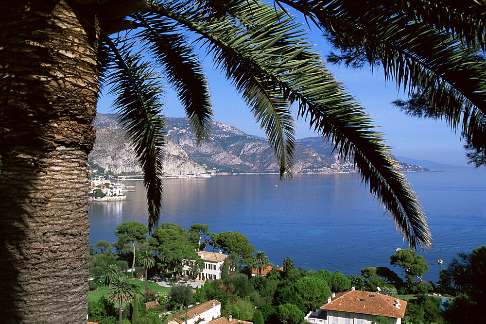 Cap Ferrat, Alpes-Maritimes, Cote d'Azur, Provence, France, Mediterranean, Europe