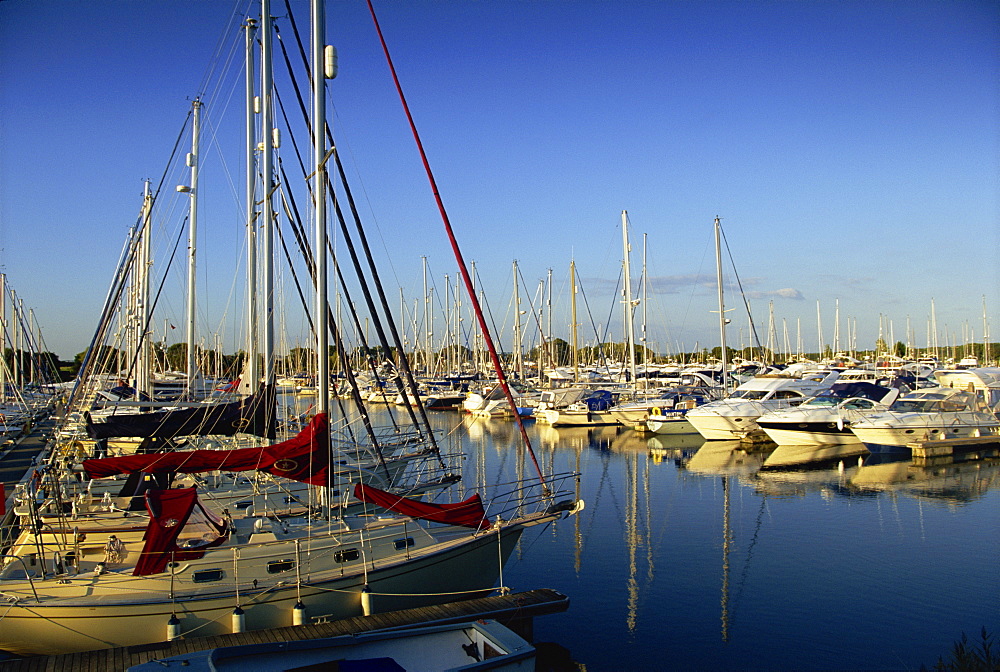 Chichester marina, West Sussex, England, United Kingdom, Europe