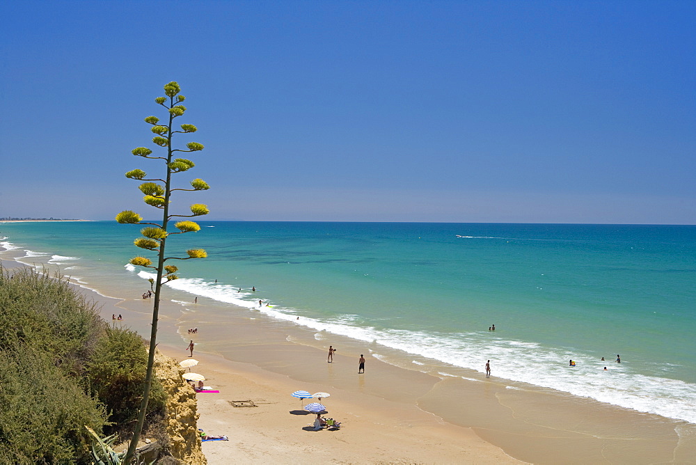 Conil de la Frontera, Costa de la Luz, Andalucia, Spain, Europe