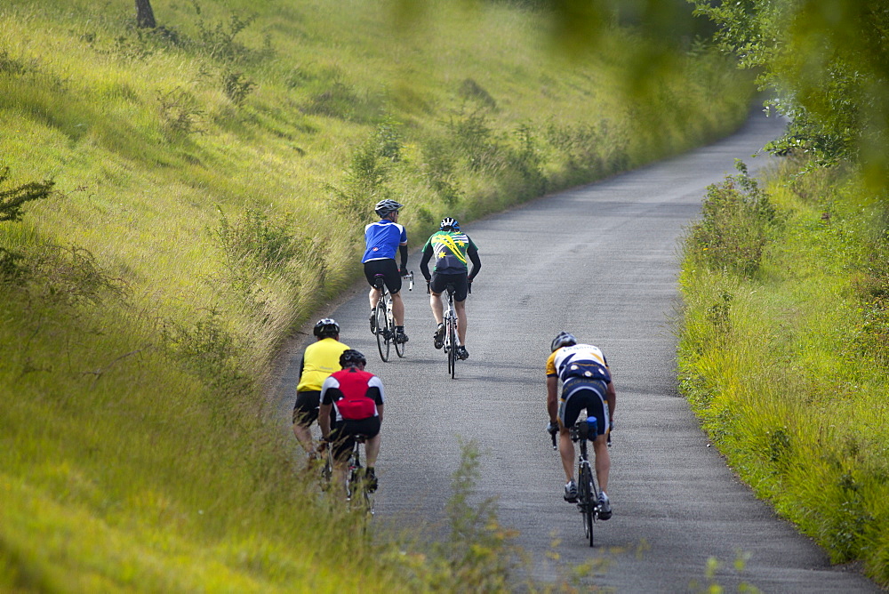 Cyclists on The Zig Zag, Box Hill, site of 2012 Olympics cycling road race, Surrey Hills, North Downs, Surrey, England, United Kingdom, Europe