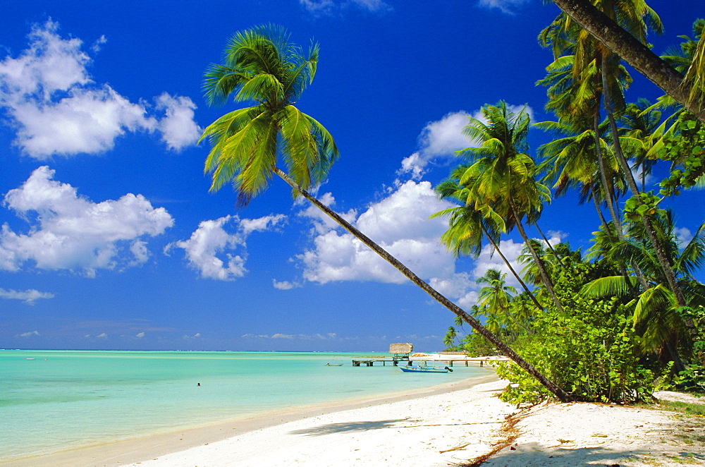 Pigeon Point, Tobago, Caribbean, West Indies