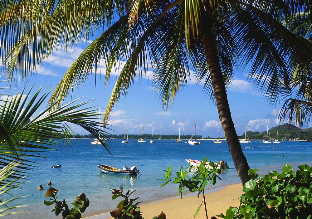 Reduit Beach, Rodney Bay, St Lucia, Caribbean